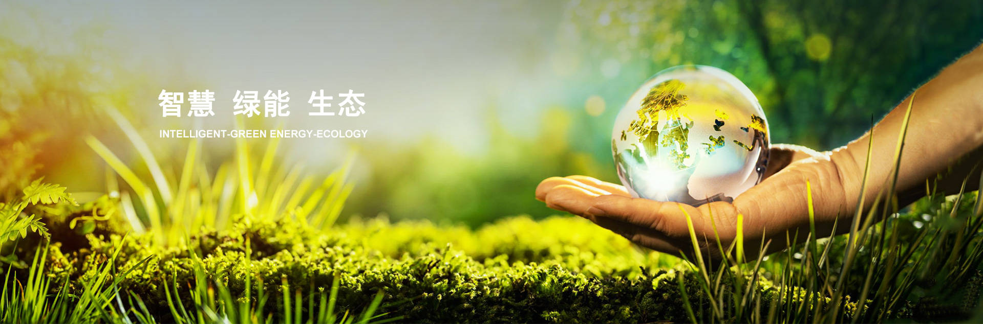 365Ӣ()޹˾-Official website